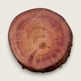 The cherry wood slice alone, showing its natural bark edge
