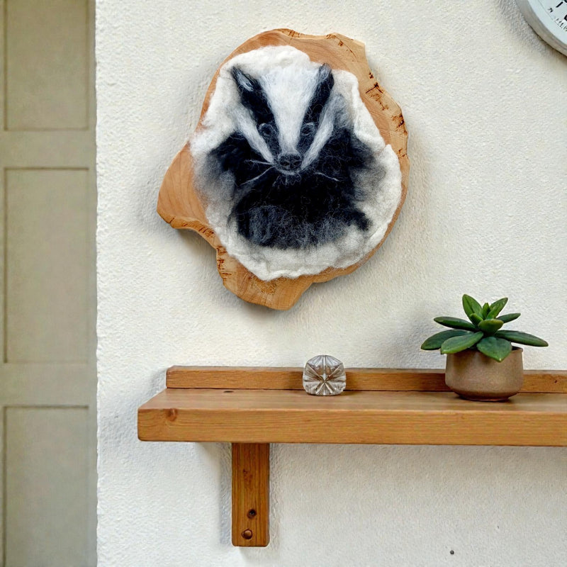 Dara needle felted badger wall art displayed in home interior - handmade Irish wildlife fibre art by The Crafty Pebblers