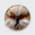 Needle felted eagle owl wall art detail view showing striking orange eyes and wool texture - natural wool, Ireland