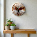 Needle felted eagle owl wall art displayed in home interior - handmade Irish wildlife art by The Crafty Pebblers