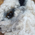 Needle felted sheep portrait close up detail showing Bluefaced Leicester locks and Corriedale wool facial detail - Co. Meath Ireland
