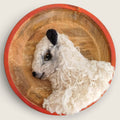 Needle felted Bluefaced Leicester sheep portrait created with natural wool fibres in a hand-finished wooden bowl, handmade in Ireland.