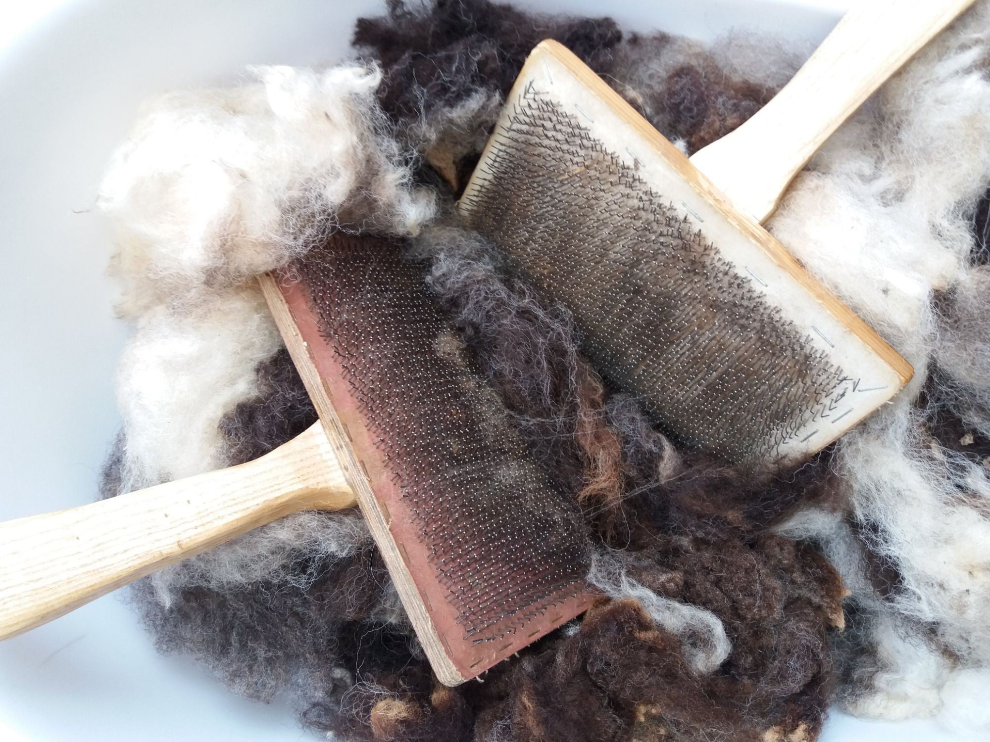 A pair of hand carders resting on locally sourced Jacob fleece in brown and cream.
